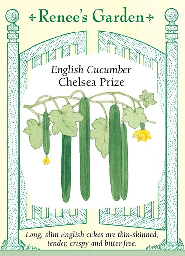 RG Cucumber Chelsea Prize